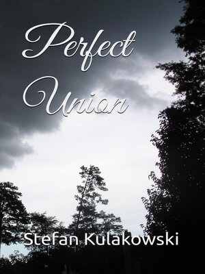 cover image of Perfect Union